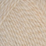 Encore Worsted Colorspun