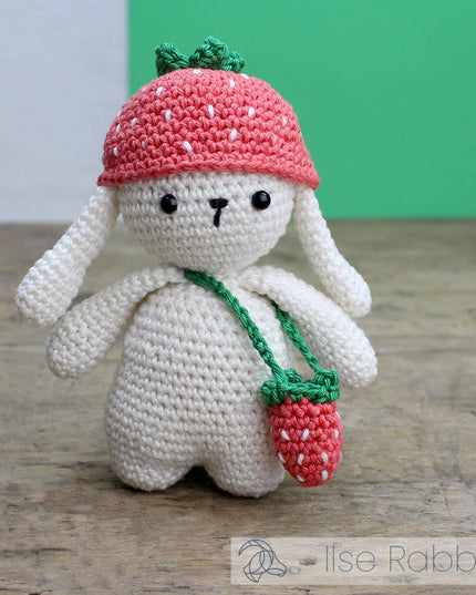 DIY Crochet Kits