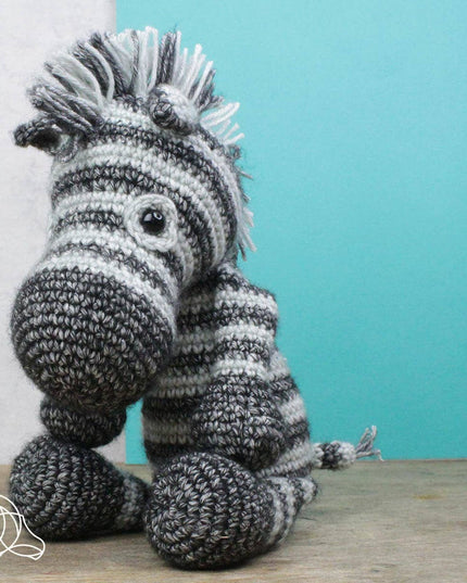 DIY Crochet Kits