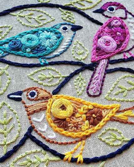 Colorful Birds Embroidery Kit