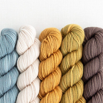 Party of Five / Tough Love / Mini-Skein Set