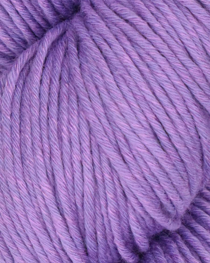 Alga