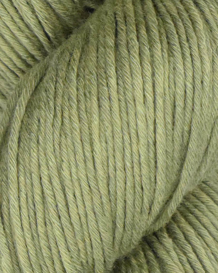 Alga