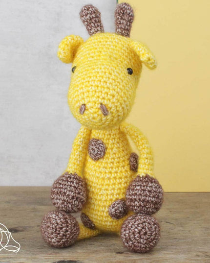 DIY Crochet Kits