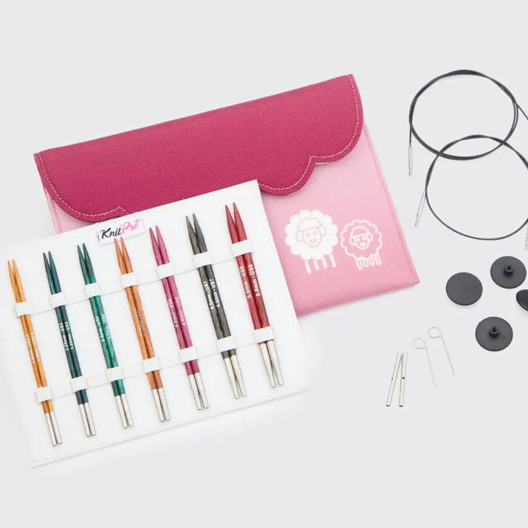 Dreamz IC Circular Needle Set Midi