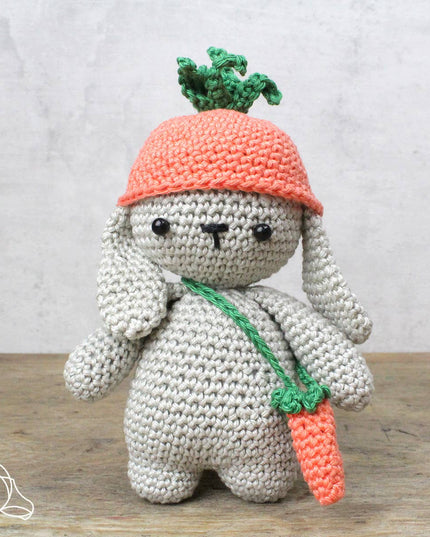DIY Crochet Kits