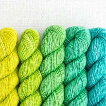 Party of Five / Tough Love / Mini-Skein Set