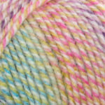 Encore Worsted Colorspun