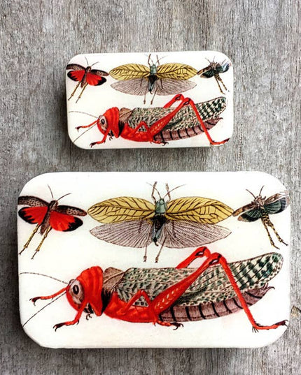 Firefly Notions Tins - Small